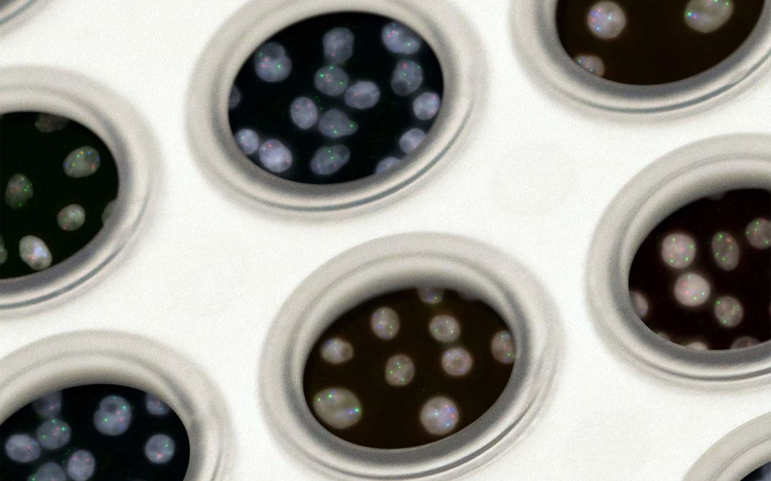 Genomics and transcriptomics